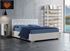 Immagine di Letto Contenitore Matrimoniale LED SASHA Ecopelle 2 Colori A Scelta