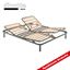 Immagine di RETE BASIC PLUS MANUALE
