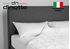 Immagine di Coppia cuscini Silver Daunen Step in Piumino